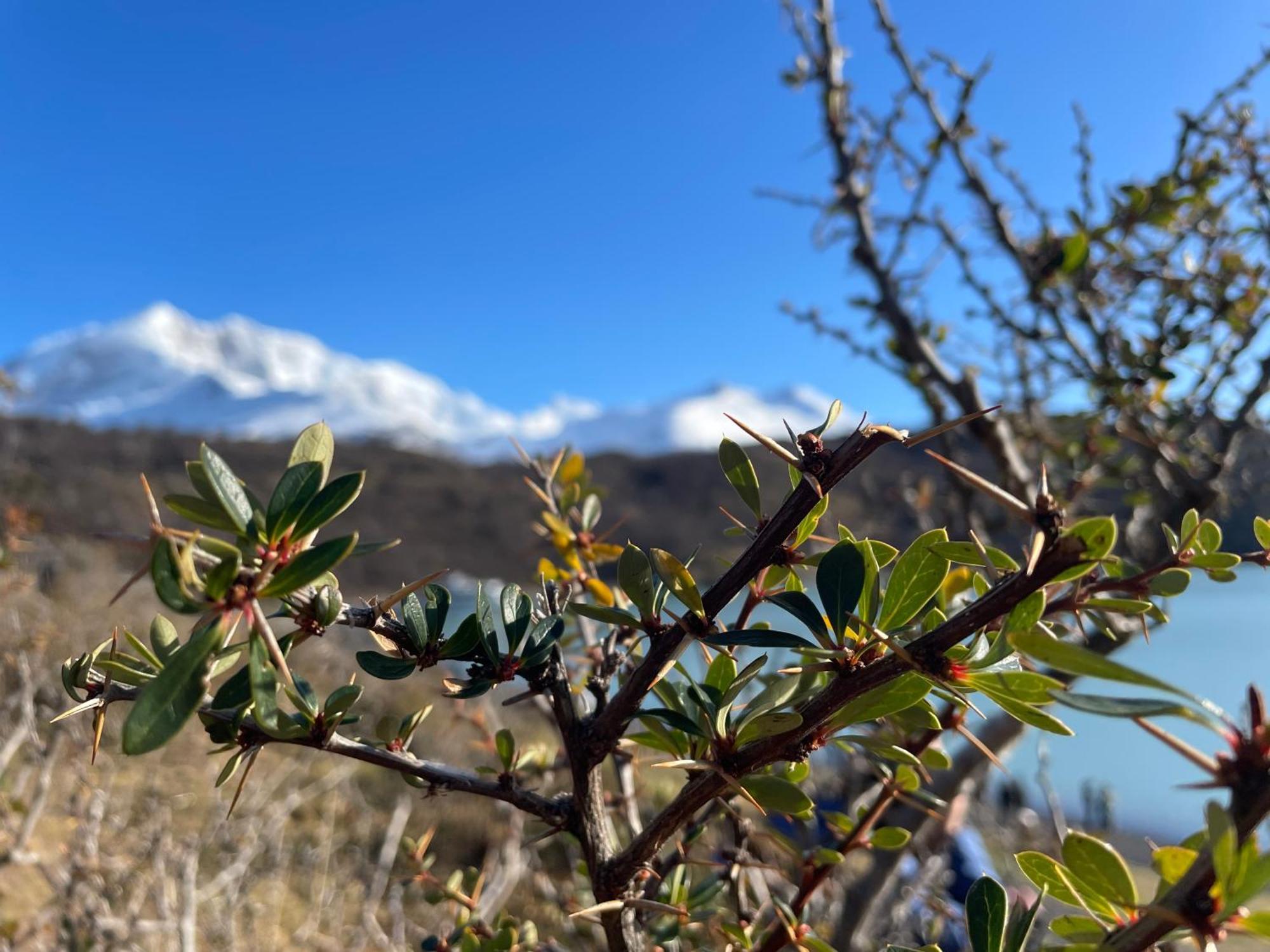 La Comarca Azul Villa El Calafate Eksteriør bilde